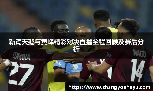 新泻天鹅与黄蜂精彩对决直播全程回顾及赛后分析